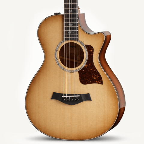 taylor-512ce-12-fret-1208192196-frontleft-2022.png